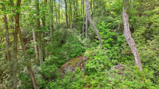 LOT6 Big Sheepcliff Rd, Cashiers, NC 28717 - photo 8