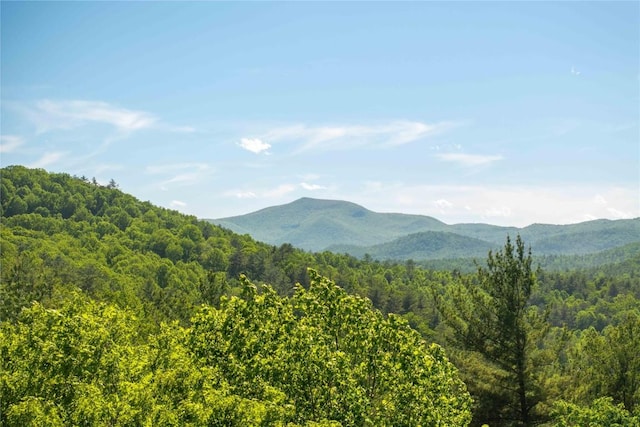 4387 Walhalla Rd, Highlands, NC 28741 - photo 30