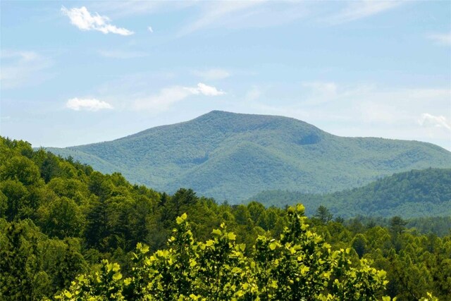 4387 Walhalla Rd, Highlands, NC 28741 - photo 34
