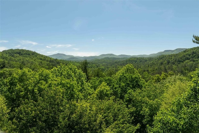 4387 Walhalla Rd, Highlands, NC 28741 - photo 33