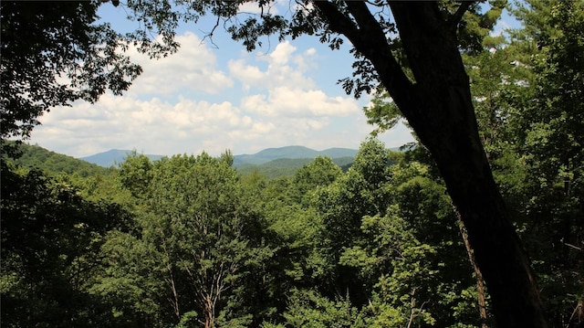 4387 Walhalla Rd, Highlands, NC 28741 - photo 23