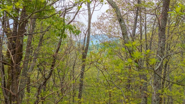 63/64 Valley View Trl, Glenville, NC 28736