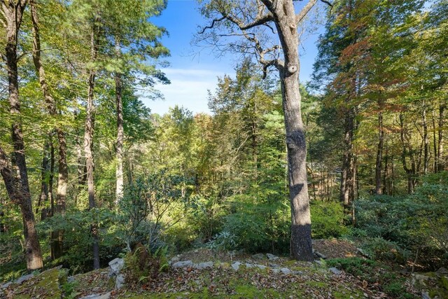 view of nature featuring a view of trees