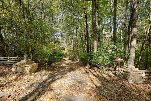 view of road with a forest view