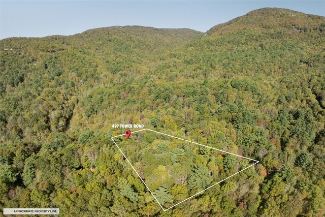 drone / aerial view with a view of trees and a mountain view