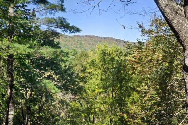 view of mountain feature with a view of trees