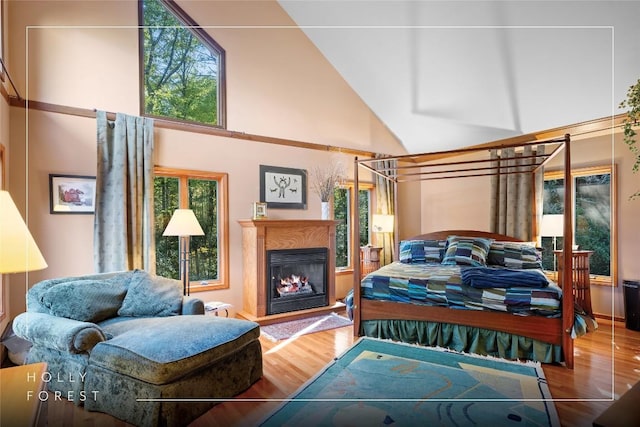 bedroom with a glass covered fireplace, high vaulted ceiling, and wood finished floors