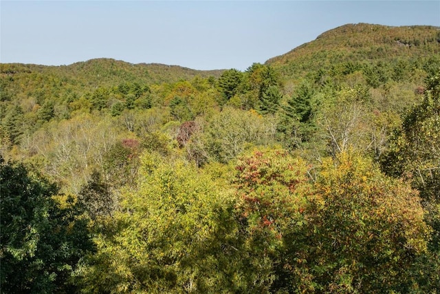 mountain view with a forest view