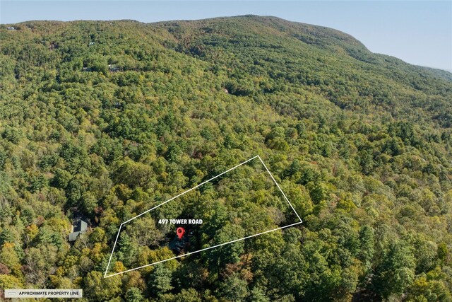 aerial view with a view of trees and a mountain view