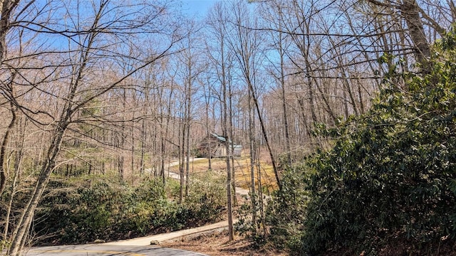 3214 Slick Fisher Rd, Lake Toxaway, NC 28747 - view of yard with a forest view