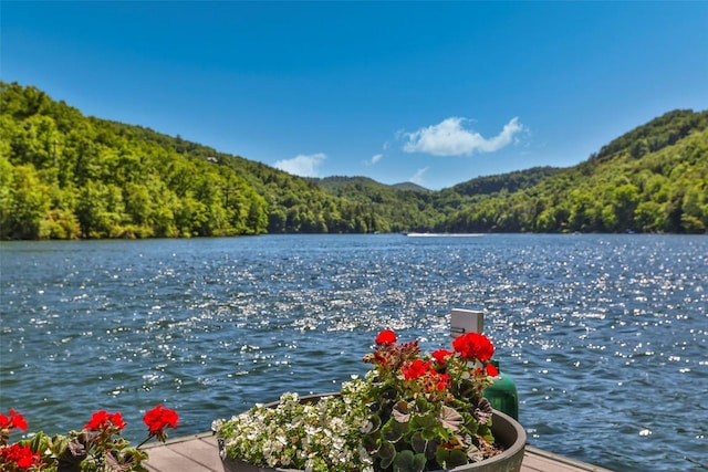 property view of water featuring a forest view