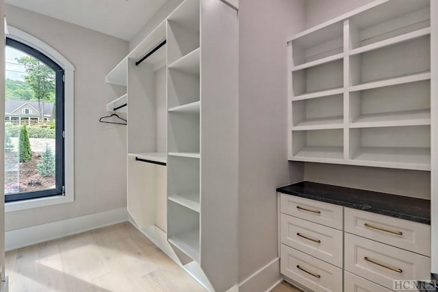 spacious closet with light wood-type flooring