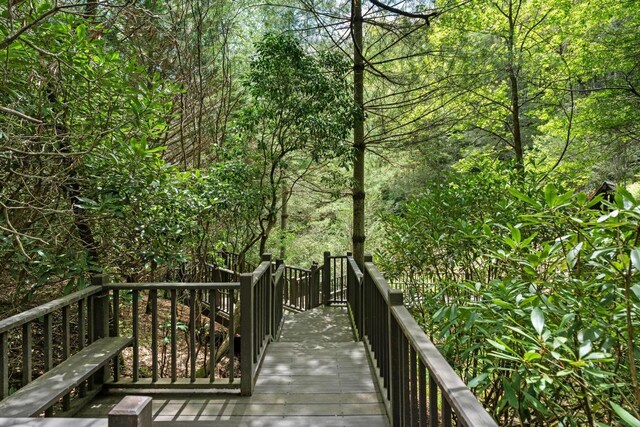 685 Gold Mine Rd, Highlands, NC 28741 - photo 69