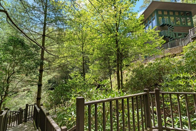 685 Gold Mine Rd, Highlands, NC 28741 - photo 68