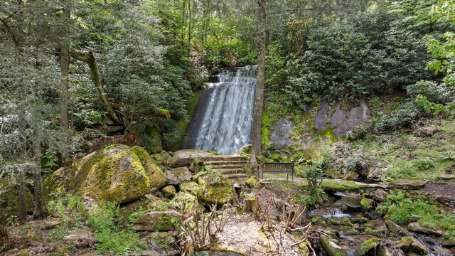 685 Gold Mine Rd, Highlands, NC 28741 - photo 44