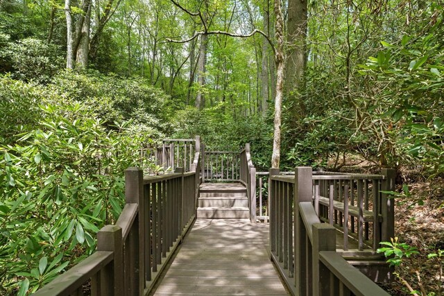 685 Gold Mine Rd, Highlands, NC 28741 - photo 67