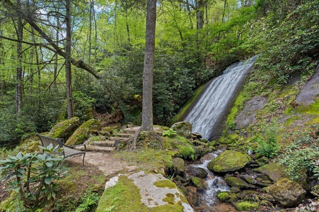 685 Gold Mine Rd, Highlands, NC 28741 - photo 65