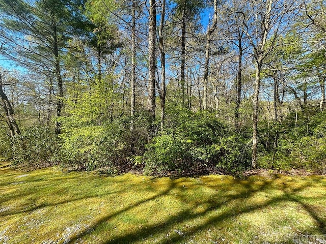 Listing photo 2 for C1 Falling Water Dr, Highlands NC 28741