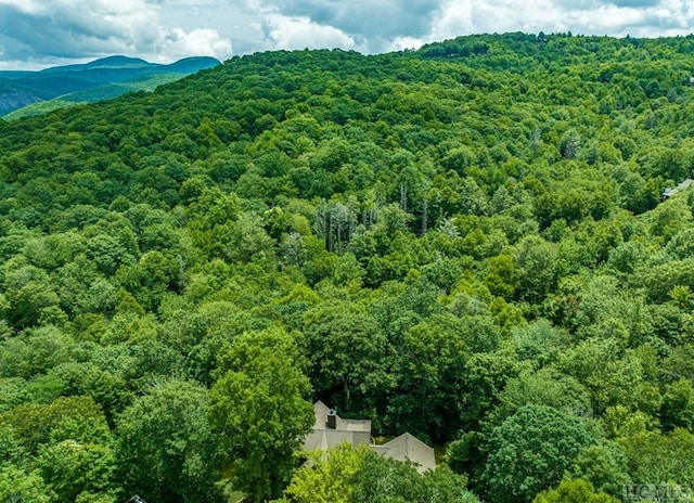 aerial view with a mountain view