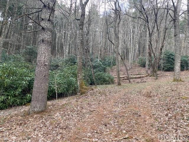 Listing photo 2 for 478 Windy Gap Rd, Cullowhee NC 28723