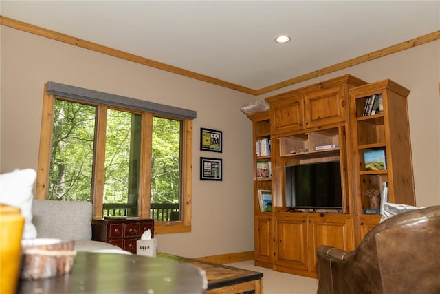 155 Springs Way, Sapphire, NC 28774 - photo 39