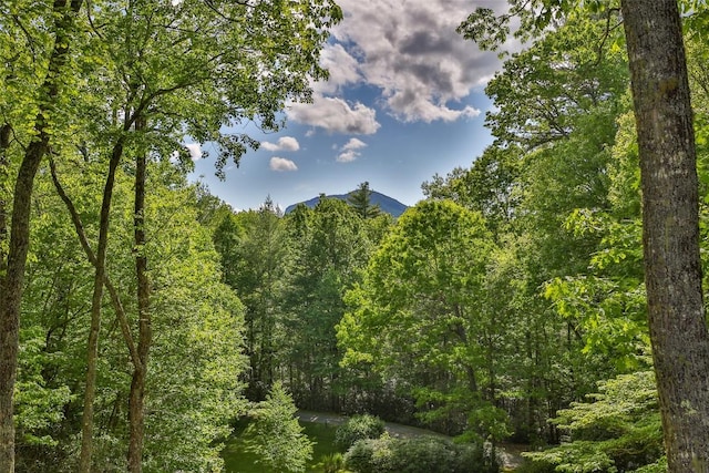 530 Heaton Forest Rd, Cashiers, NC 28717 - photo 46
