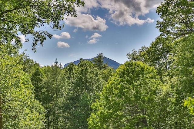530 Heaton Forest Rd, Cashiers, NC 28717 - photo 47