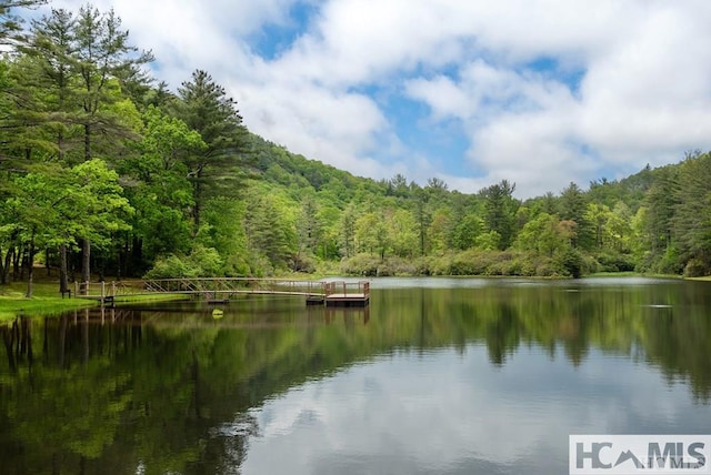 369 Firesong Ln, Glenville, NC 28736 - water view with a forest