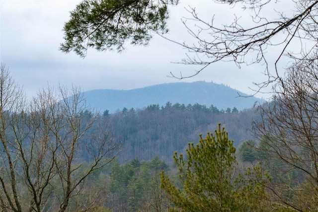 property view of mountains featuring a view of trees