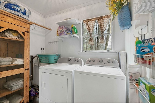 laundry area featuring ornamental molding, laundry area, and separate washer and dryer