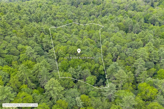 LOT16 Zeb Alley Rd, Cashiers, NC 28717 - photo 2
