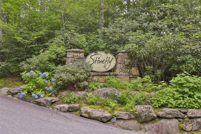 LOT16 Zeb Alley Rd, Cashiers, NC 28717 - photo 11