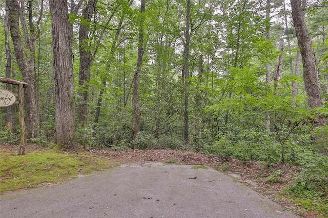 LOT16 Zeb Alley Rd, Cashiers, NC 28717 - photo 5