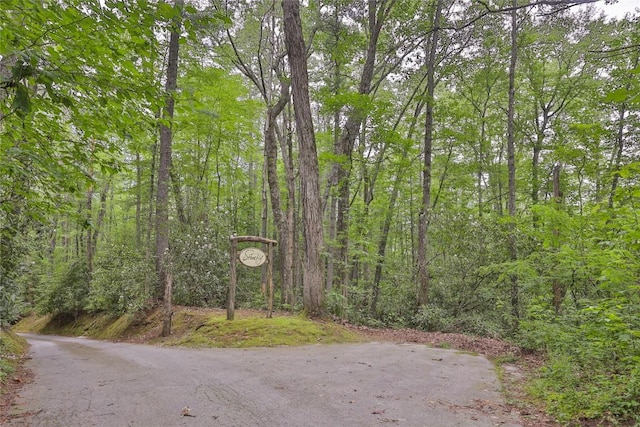LOT16 Zeb Alley Rd, Cashiers, NC 28717 - photo 4