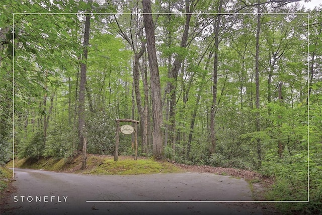 LOT16 Zeb Alley Rd, Cashiers, NC 28717 - photo 1