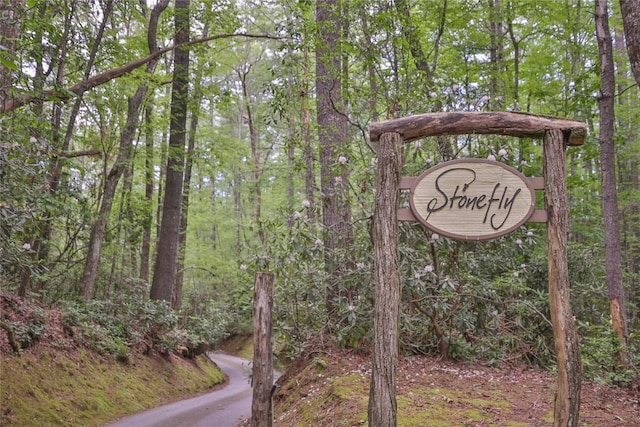LOT16 Zeb Alley Rd, Cashiers, NC 28717 - photo 10
