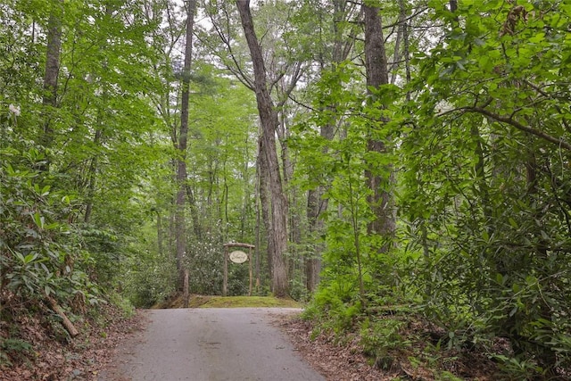 LOT16 Zeb Alley Rd, Cashiers, NC 28717 - photo 3