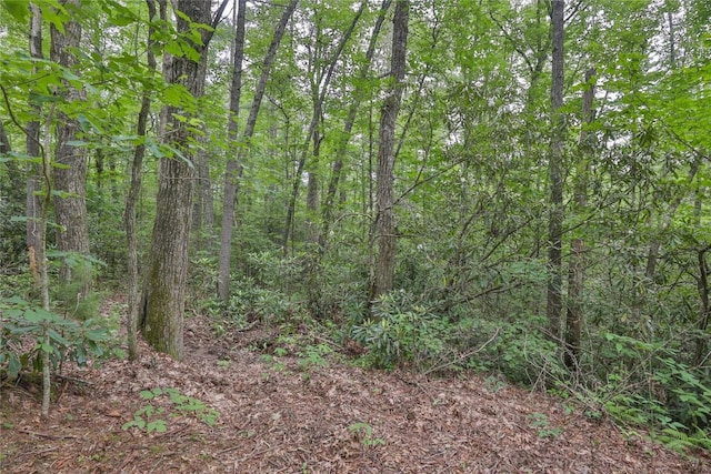 LOT16 Zeb Alley Rd, Cashiers, NC 28717 - photo 7