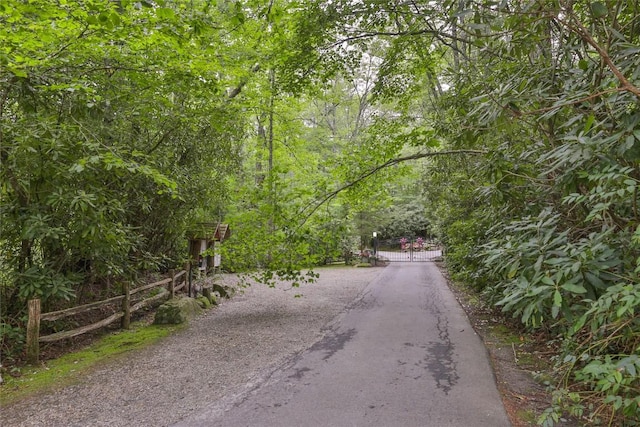 LOT16 Zeb Alley Rd, Cashiers, NC 28717 - photo 15