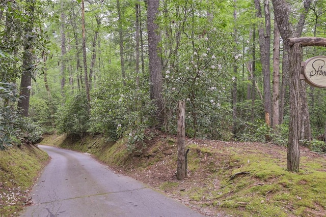 LOT16 Zeb Alley Rd, Cashiers, NC 28717 - photo 6