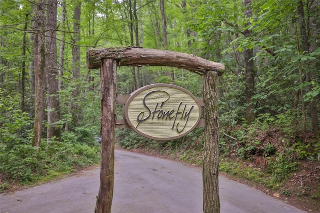 LOT16 Zeb Alley Rd, Cashiers, NC 28717 - photo 9