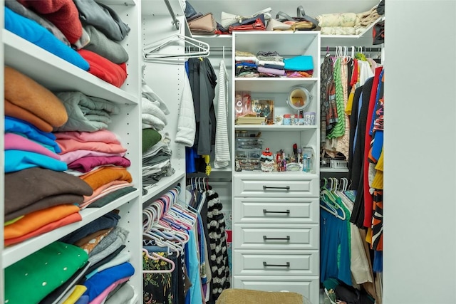 view of walk in closet