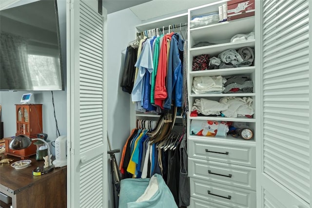 view of closet