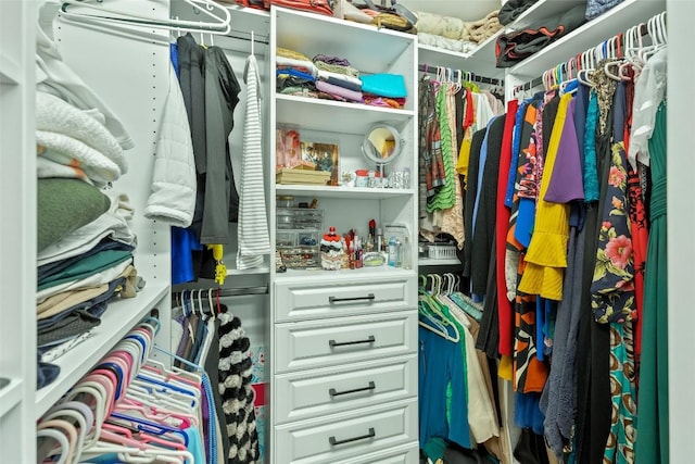 view of walk in closet