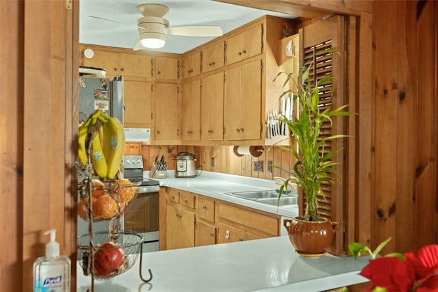 kitchen with sink, stainless steel appliances, and ceiling fan