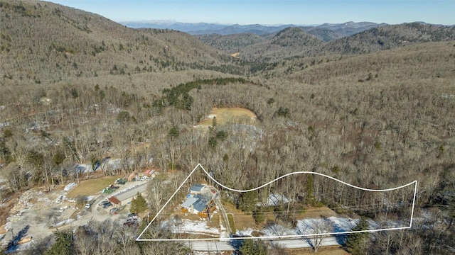 drone / aerial view with a mountain view