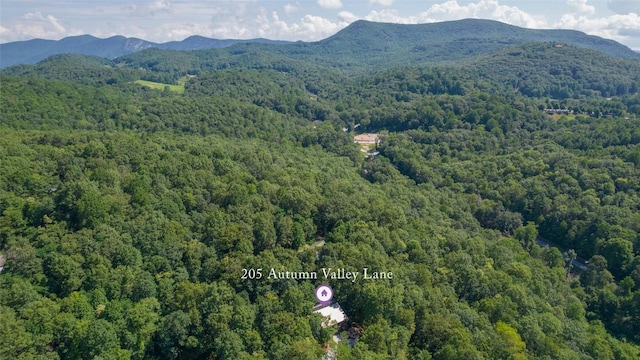 205 Autumn Valley Ln, Scaly Mountain, NC 28775 - photo 47