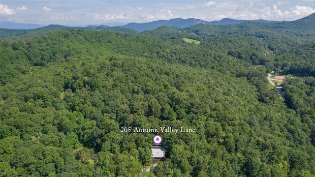205 Autumn Valley Ln, Scaly Mountain, NC 28775 - photo 37