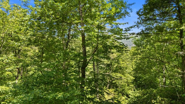 500 Walkingstick Rd, Highlands, NC 28741 - photo 29