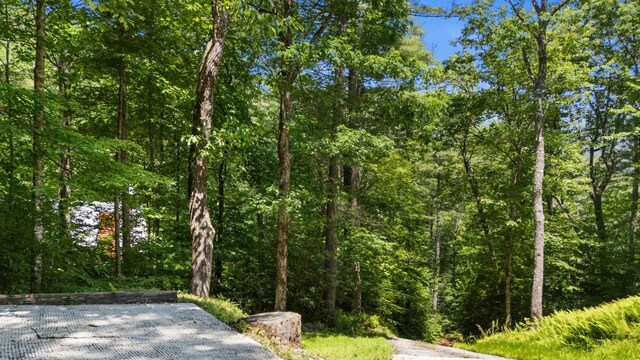 500 Walkingstick Rd, Highlands, NC 28741 - photo 36